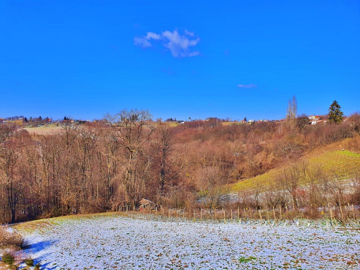 Holiday Home Bella Vita Gornji Mihaljevec Экстерьер фото